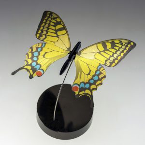 Papillon-S